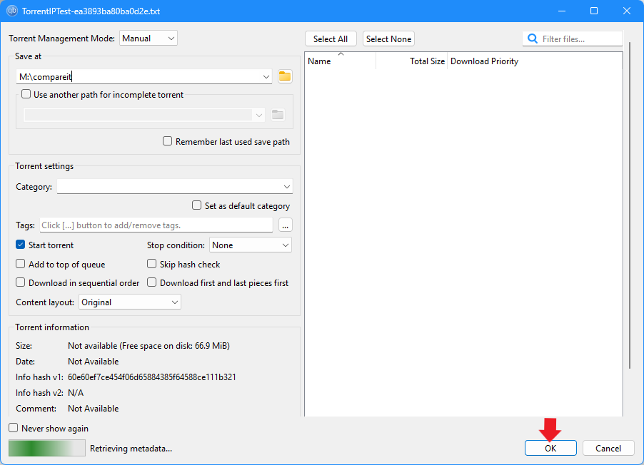qBittorrent add torrent dialog for TorrentIPTest with OK button highlighted
