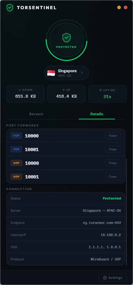 TorSentinel VPN app Details tab showing PORT FORWARDS with TCP 10000, TCP 10001, UDP 10000, UDP 10001 and Copy buttons, plus connection details showing Singapore APAC-SG server