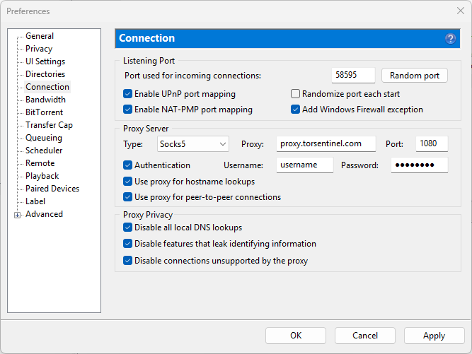 uTorrent Connection preferences with SOCKS5 settings